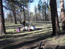 photo thumbnail #11