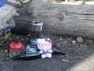 photo thumbnail #10