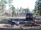 photo thumbnail #12