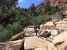 photo thumbnail #1