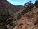 photo thumbnail #11