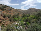 photo thumbnail #1