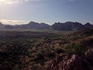 photo thumbnail #2