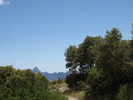 photo thumbnail #11