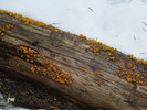 photo thumbnail #2
