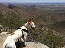 photo thumbnail #3