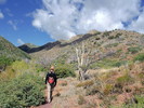 photo thumbnail #2