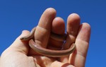 photo thumbnail #3