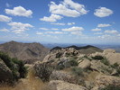 photo thumbnail #8