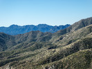photo thumbnail #9