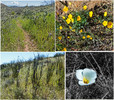 photo thumbnail #15