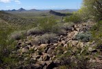 photo thumbnail #5