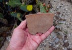 photo thumbnail #12