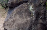 photo thumbnail #15