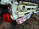 photo thumbnail #13