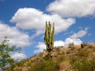 photo thumbnail #12