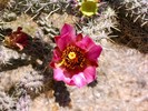 photo thumbnail #13