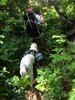photo thumbnail #6