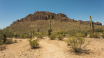 photo thumbnail #7