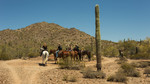 photo thumbnail #9