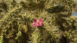 photo thumbnail #10