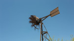 photo thumbnail #15