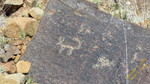 photo thumbnail #14