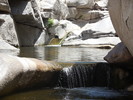 photo thumbnail #14