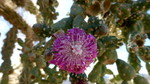 photo thumbnail #14