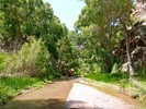photo thumbnail #14
