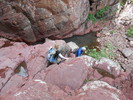 photo thumbnail #12