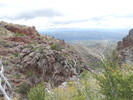 photo thumbnail #14