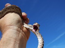 photo thumbnail #15