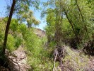 photo thumbnail #7