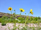 photo thumbnail #13