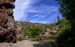 photo thumbnail #2