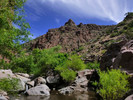 photo thumbnail #4