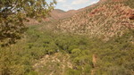 photo thumbnail #12