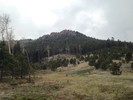 photo thumbnail #5