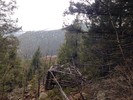 photo thumbnail #12