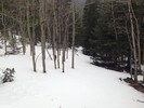 photo thumbnail #13