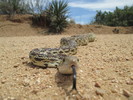 photo thumbnail #9