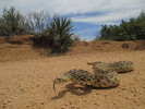 photo thumbnail #10