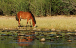 photo thumbnail #10