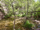 photo thumbnail #12