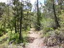 photo thumbnail #2