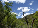 photo thumbnail #5