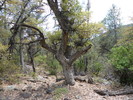 photo thumbnail #8