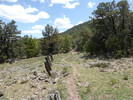 photo thumbnail #11