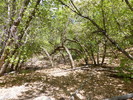photo thumbnail #14
